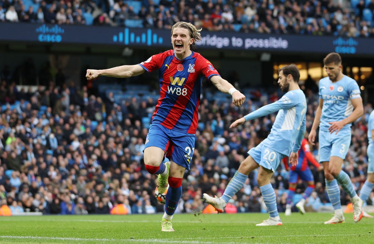 Crystal Palace vs Manchester City Premer League Match Day 29